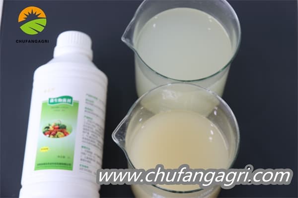 Chufangagri XMD Bacillus amyloliticus