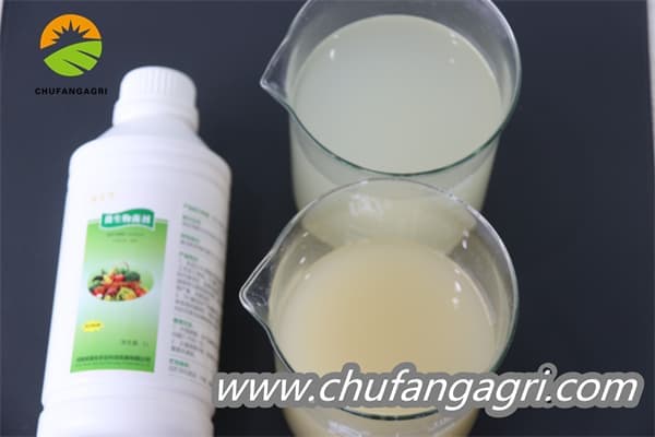 Chufangagri XMD Bacillus amyloliticus(BAA)