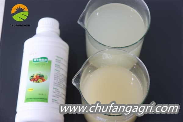 Bacillus amyloliquefaciens (TKJ)