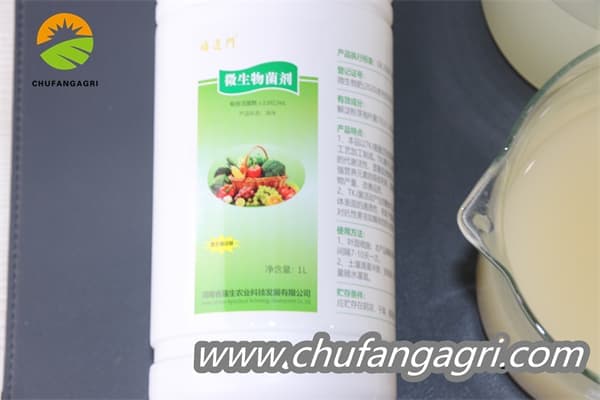 Chufangagri XMD Bacillus amyloliticus(BAA)