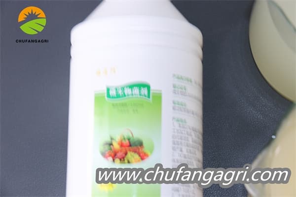 XMD Bacillus amyloliticus(TKJ)