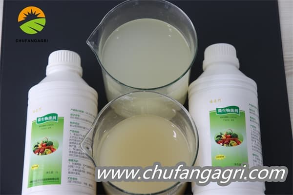 Chufangagri XMD Bacillus amyloliquefaciens (TKJ)