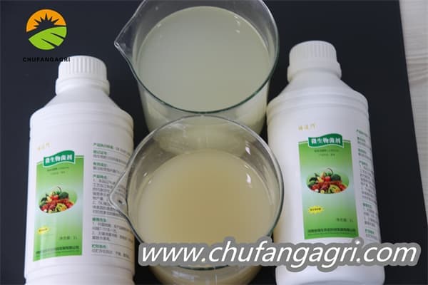 Chufangagri XMD Bacillus amyloliticus(BAA)
