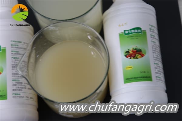 Chufangagri XMD Bacillus amyloliquefaciens (TKJ)