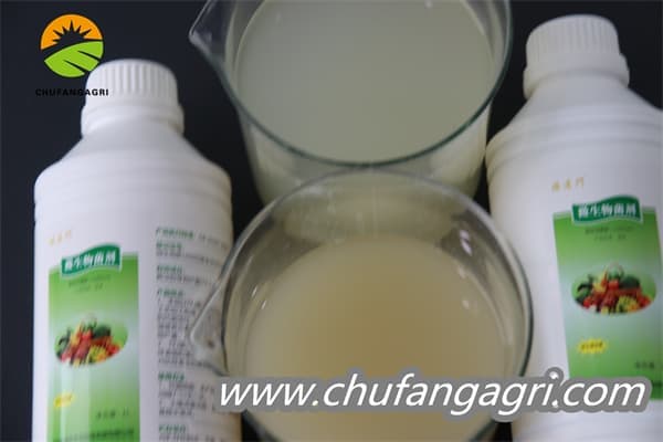 Bacillus amyloliquefaciens (TKJ)