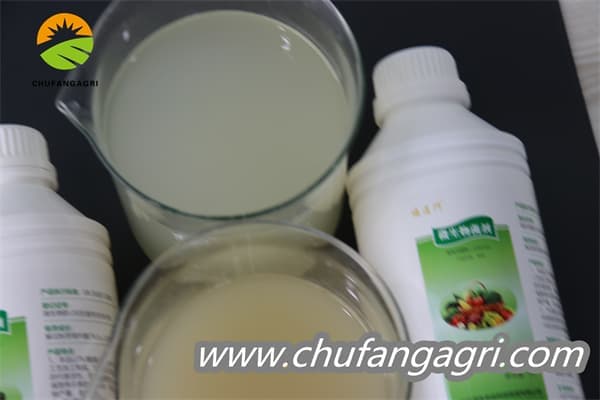 Chufangagri Bacillus amyloliticus