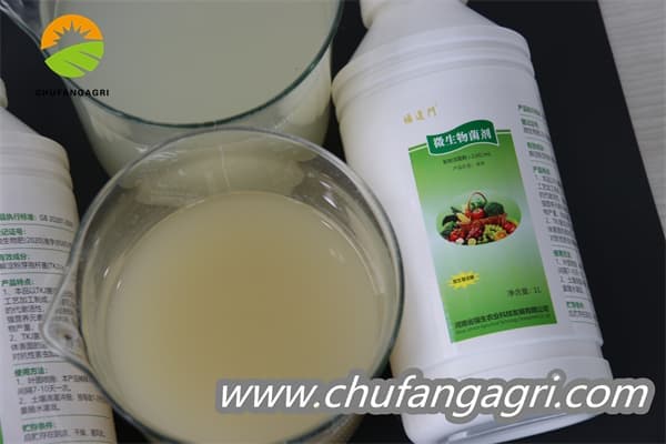 Chufangagri XMD Bacillus amyloliquefaciens (TKJ)