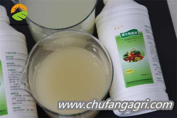 Chufangagri XMD Bacillus amyloliticus