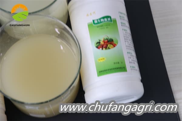 Chufangagri Bacillus amyloliticus(BAA)