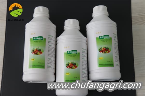 Chufangagri XMD Bacillus amyloliticus