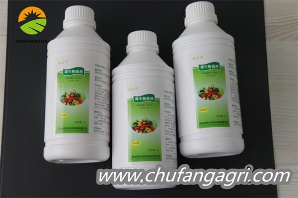 XMD Bacillus amyloliticus