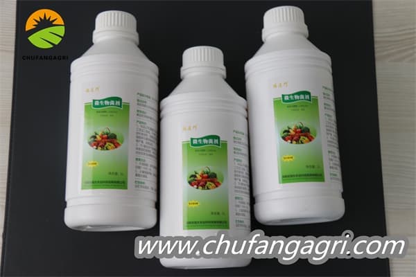 Bacillus amyloliquefaciens (TKJ)