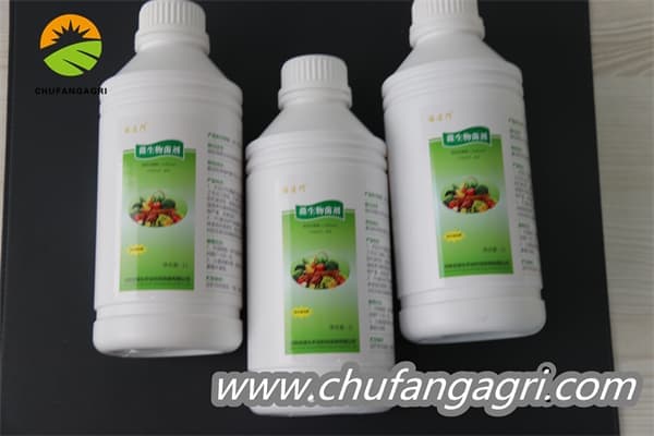 Chufangagri Bacillus amyloliquefaciens (TKJ)