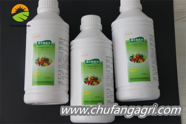 Chufangagri XMD Bacillus amyloliticus