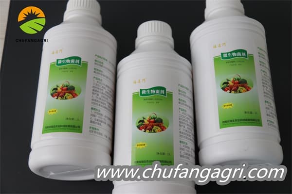 Bacillus amyloliquefaciens (TKJ)