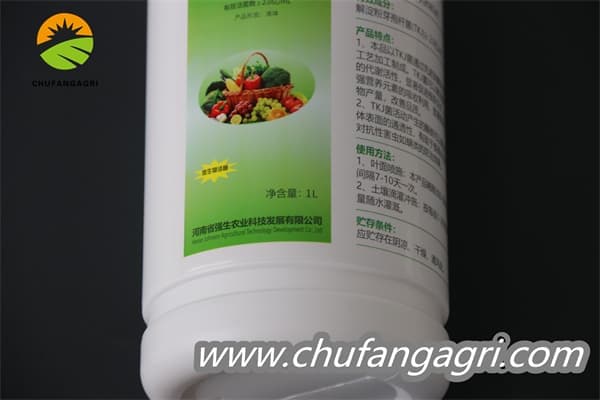 XMD Bacillus amyloliticus