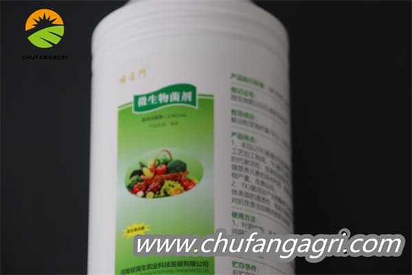 Bacillus amyloliticus(BAA)