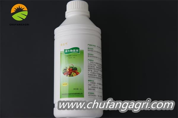 Chufangagri Bacillus amyloliticus(BAA)