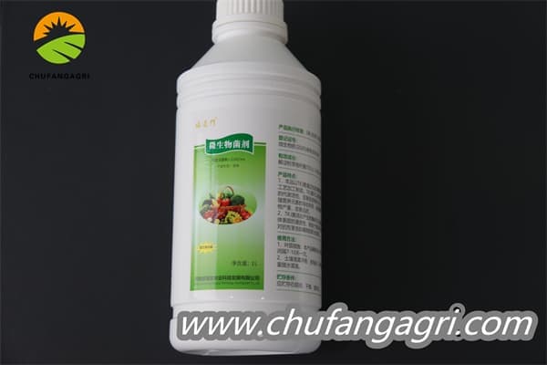 Chufangagri XMD Bacillus amyloliticus