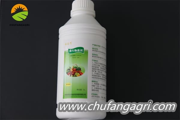 Chufangagri XMD Bacillus amyloliticus(BAA)