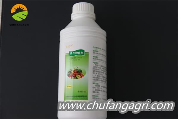 Bacillus amyloliticus(BAA)