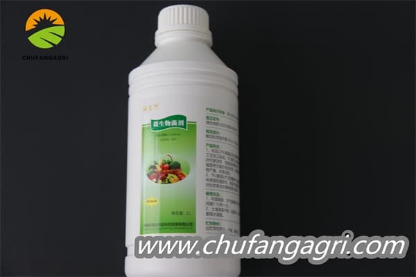 Chufangagri Bacillus amyloliticus