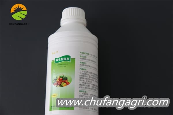 Bacillus amyloliticus(BAA)