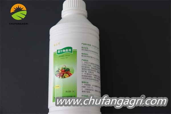Chufangagri Bacillus amyloliticus