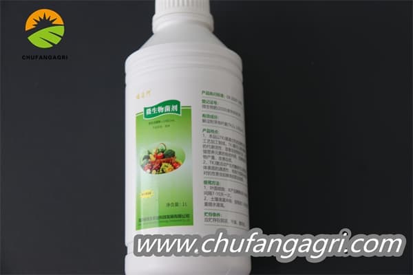 Chufangagri XMD Bacillus amyloliticus(BAA)