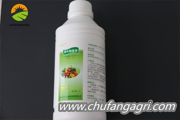 XMD Bacillus amyloliticus(BAA)