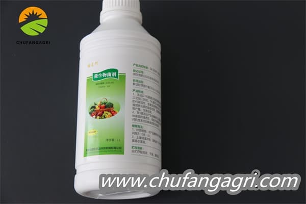 Bacillus amyloliticus(BAA)