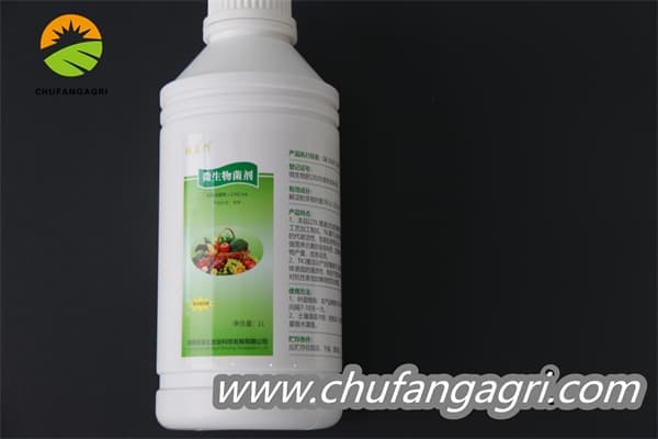 Bacillus amyloliquefaciens (TKJ)