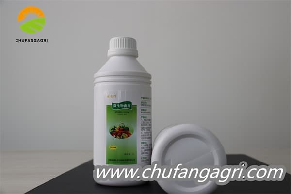 Chufangagri Bacillus amyloliticus(BAA)