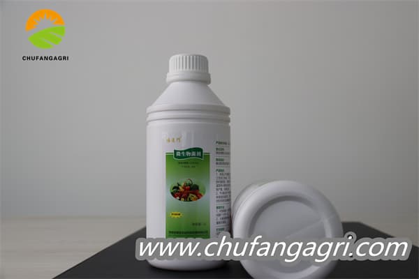 XMD Microbial Agent-Bacillus amyloliticus(TKJ)