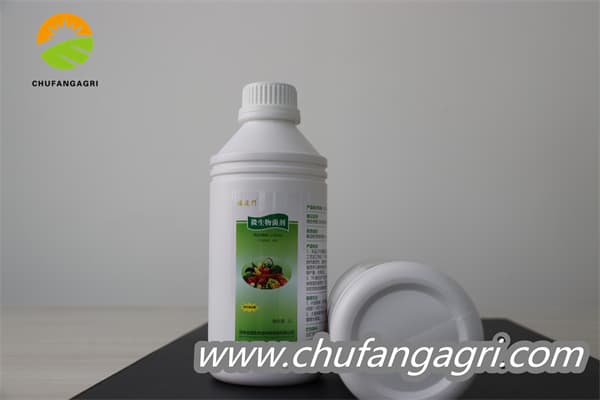 Bacillus amyloliquefaciens (TKJ)