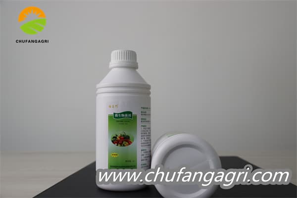 Chufangagri Bacillus amyloliticus