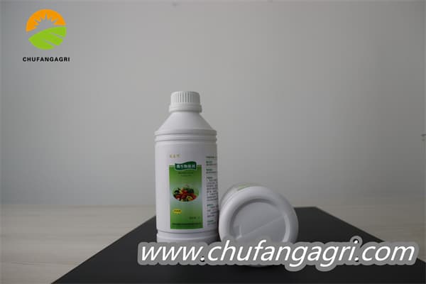 XMD Bacillus amyloliticus(BAA)