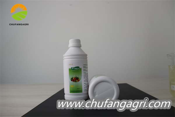 XMD microbial fertilizer-Bacillus amyloliticus