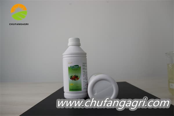 Bacillus amyloliticus(BAA)