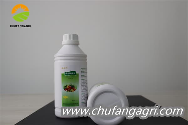 Bacillus amyloliquefaciens (TKJ)
