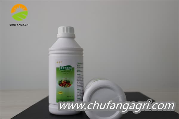 Chufangagri Bacillus amyloliquefaciens (TKJ)