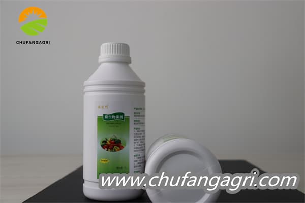 Chufangagri Bacillus amyloliticus(BAA)