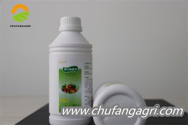 Chufangagri XMD Bacillus amyloliticus(BAA)