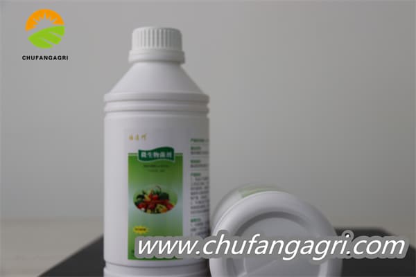 XMD Bacillus amyloliticus