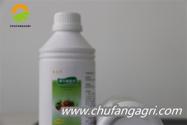 Bacillus amyloliquefaciens (TKJ)
