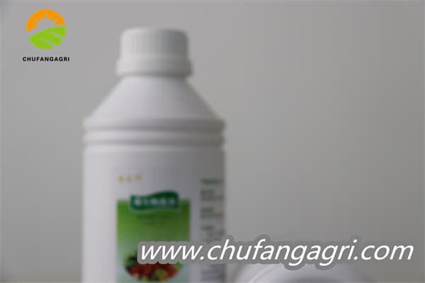 Bacillus amyloliticus(BAA)