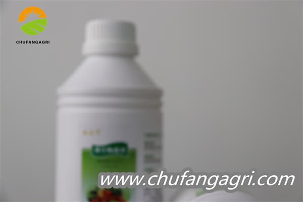 Chufangagri Bacillus amyloliquefaciens (TKJ)