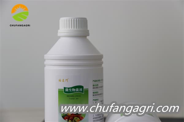 Chufangagri Bacillus amyloliticus(BAA)