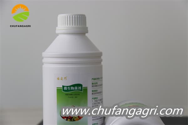 Chufangagri XMD Bacillus amyloliticus(BAA)