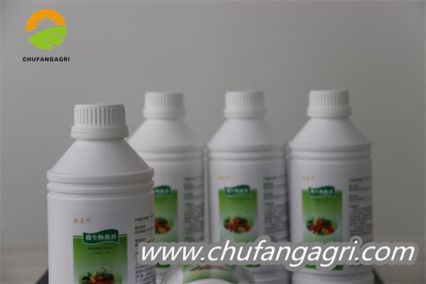 Chufangagri Bacillus amyloliquefaciens (TKJ)